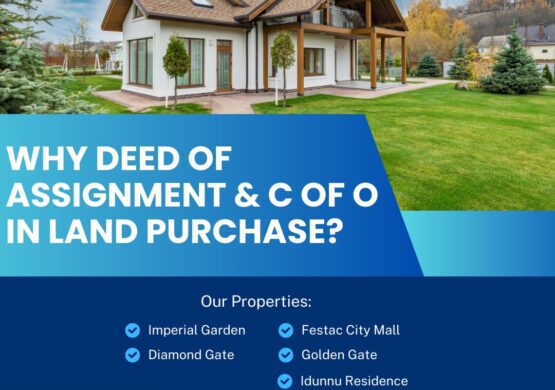 Role of Deed of Assignment & C of O in Land Purchase